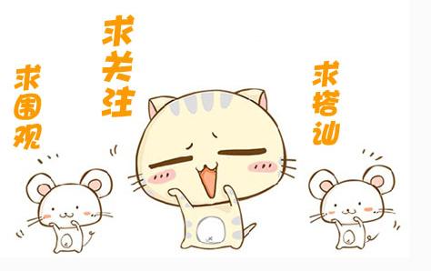 文竹具有一种优雅娴静的气质,文竹清新又文雅