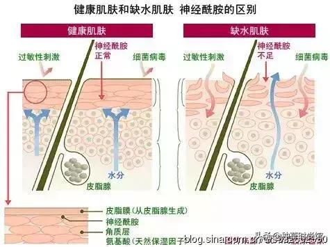 港货屈臣氏最值得买的护肤品,屈臣氏里面有什么值得买的