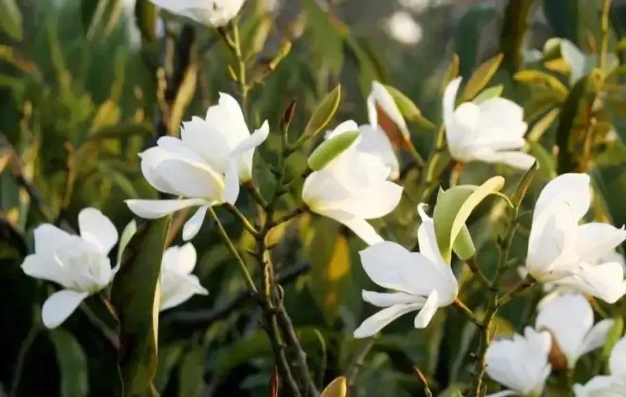 如果你的老公不关心你你要怎么做,当老公不爱你嫌弃你的时候怎么办