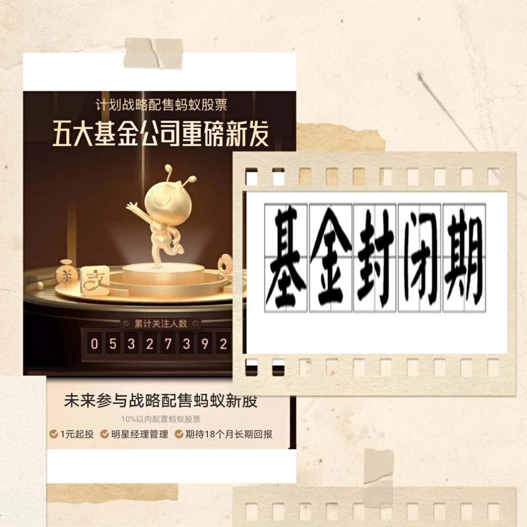 5只支付宝专售的基金怎样了？一文尽览始末，俯瞰山河