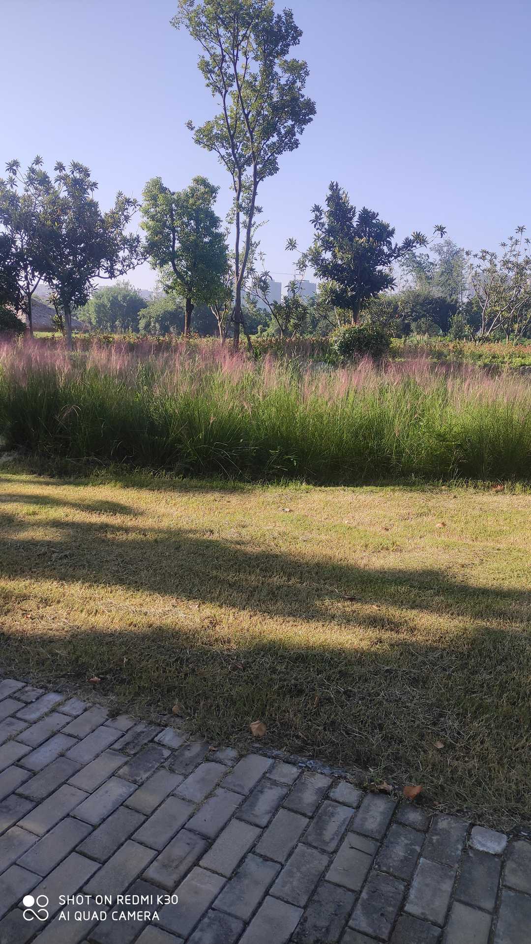 地摊小吃简单又赚钱学校门口,适合学校门口摆摊的速成小吃