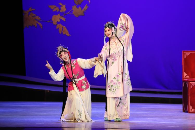 深圳戏院儿童剧,深圳戏院传统文化