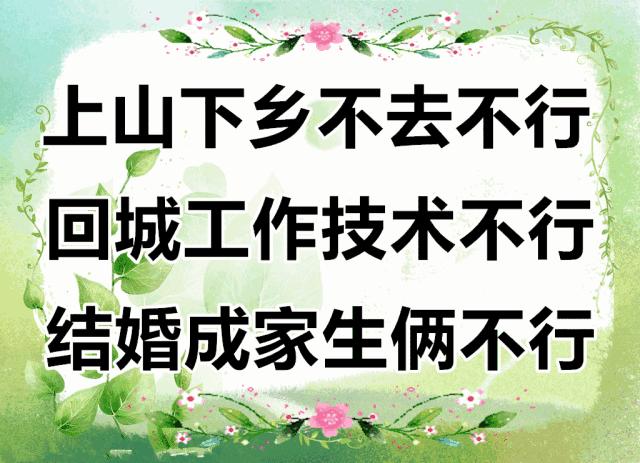 放开二胎，老婆不行，混到退休，工资不行！60岁的人看了别掉泪