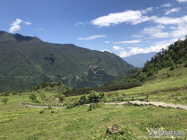 中国百慕大黑竹沟了解一下,穿越黑竹沟揭秘中国百慕大