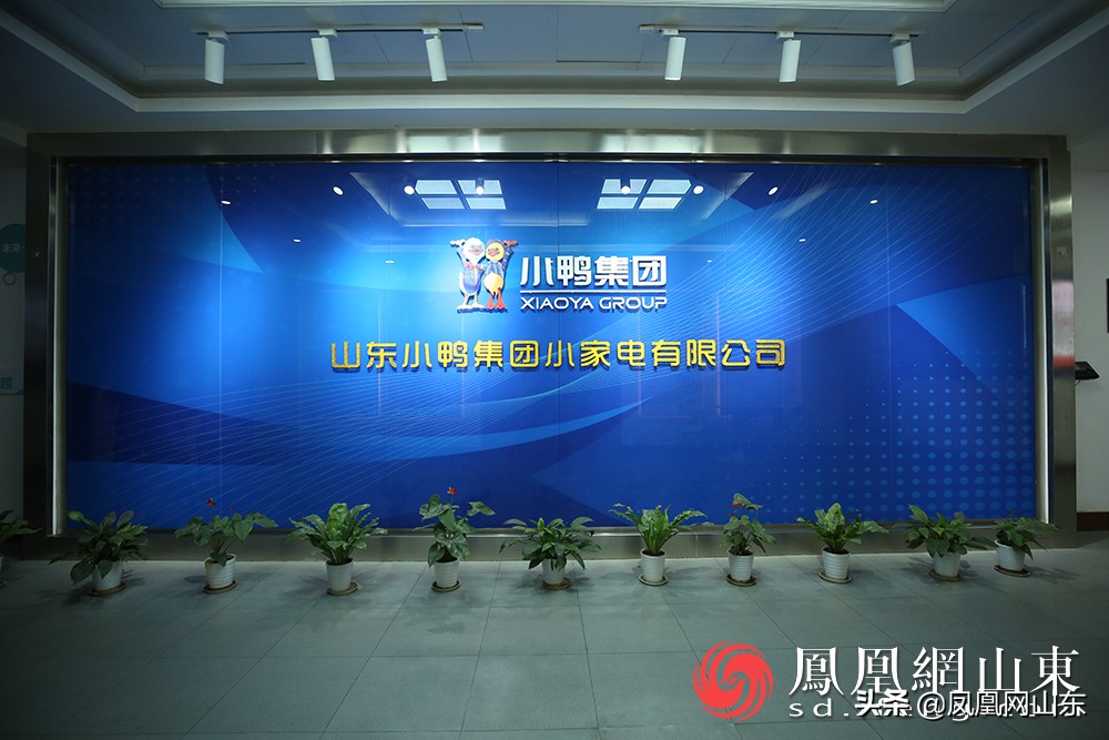 济南小鸭集团最新消息电视采访,济南小鸭集团介绍