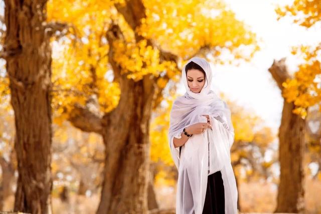 胡杨林旅游区道歉,额济纳胡杨林门票免费及优惠政策