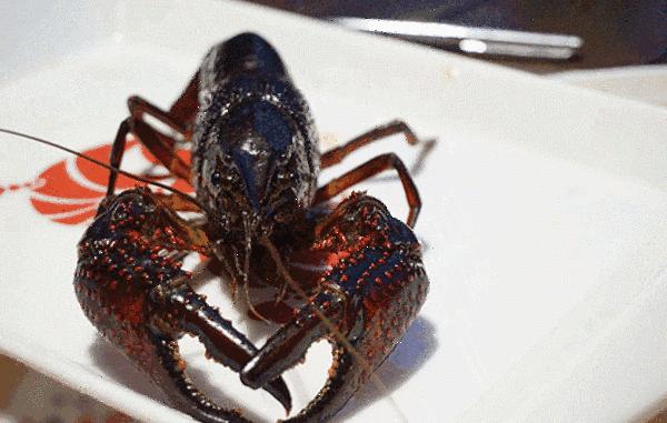 美食小龙虾的100种神仙吃法,伊宁市小龙虾美食推荐