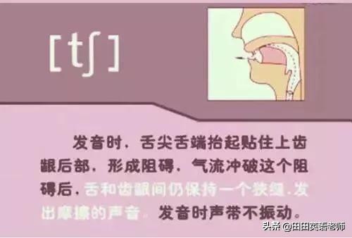 48个英语国际音标发音表图片,英语48个音标发音附详细图解视频