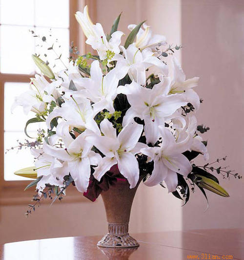 绿色百合的花语,百合与玫瑰花语