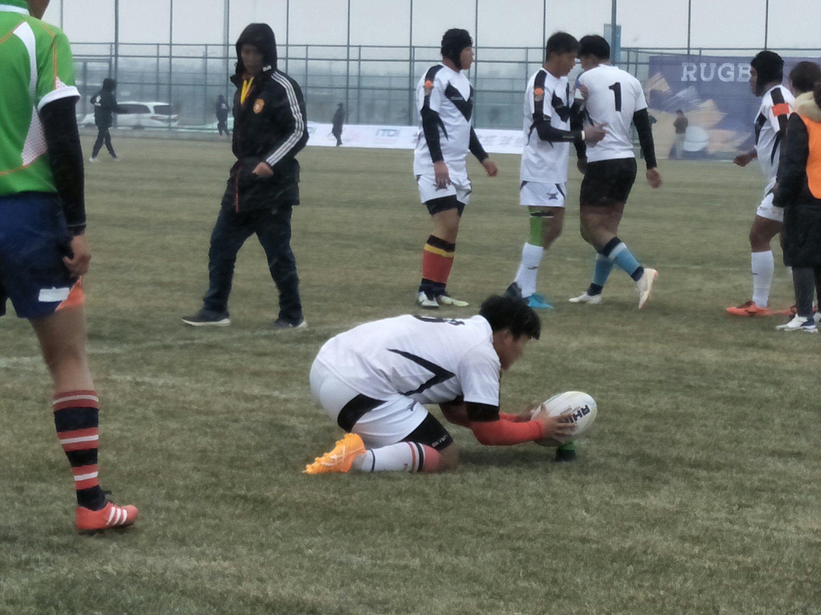 万柏林凤凰双语小学片区,万柏林凤凰双语小学怎么样