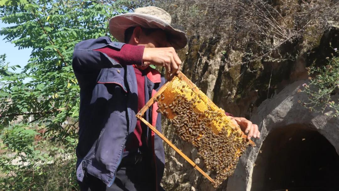 蜂蜜滞销的最新消息,3千斤蜂蜜滞销怎么办