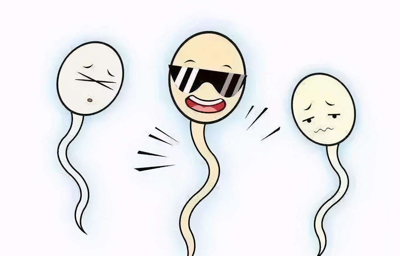 男科专家谈生育系列科普26,男性备孕必查项目