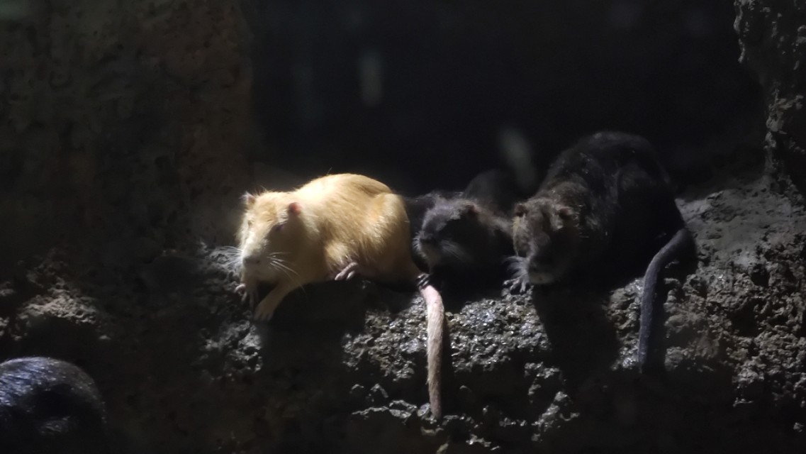 福州欧乐堡海洋世界家庭套票团购,福州欧乐堡海洋世界门票价格