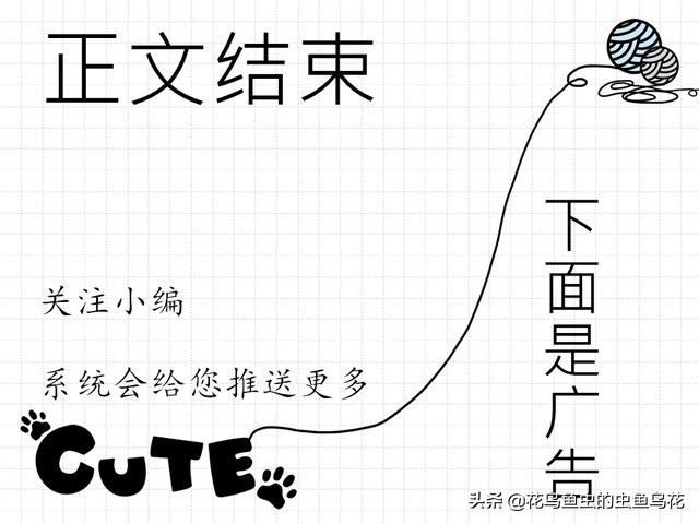 金鱼受伤的地方变黑了,金鱼颜色变黑是什么原因