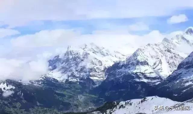 伟大的新疆,伟大的阿勒泰