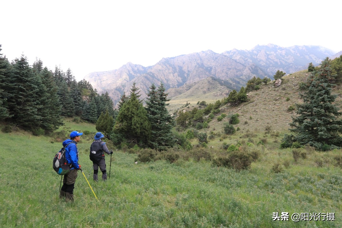 静谧森林和沙漠交界处,静谧森林红色石头