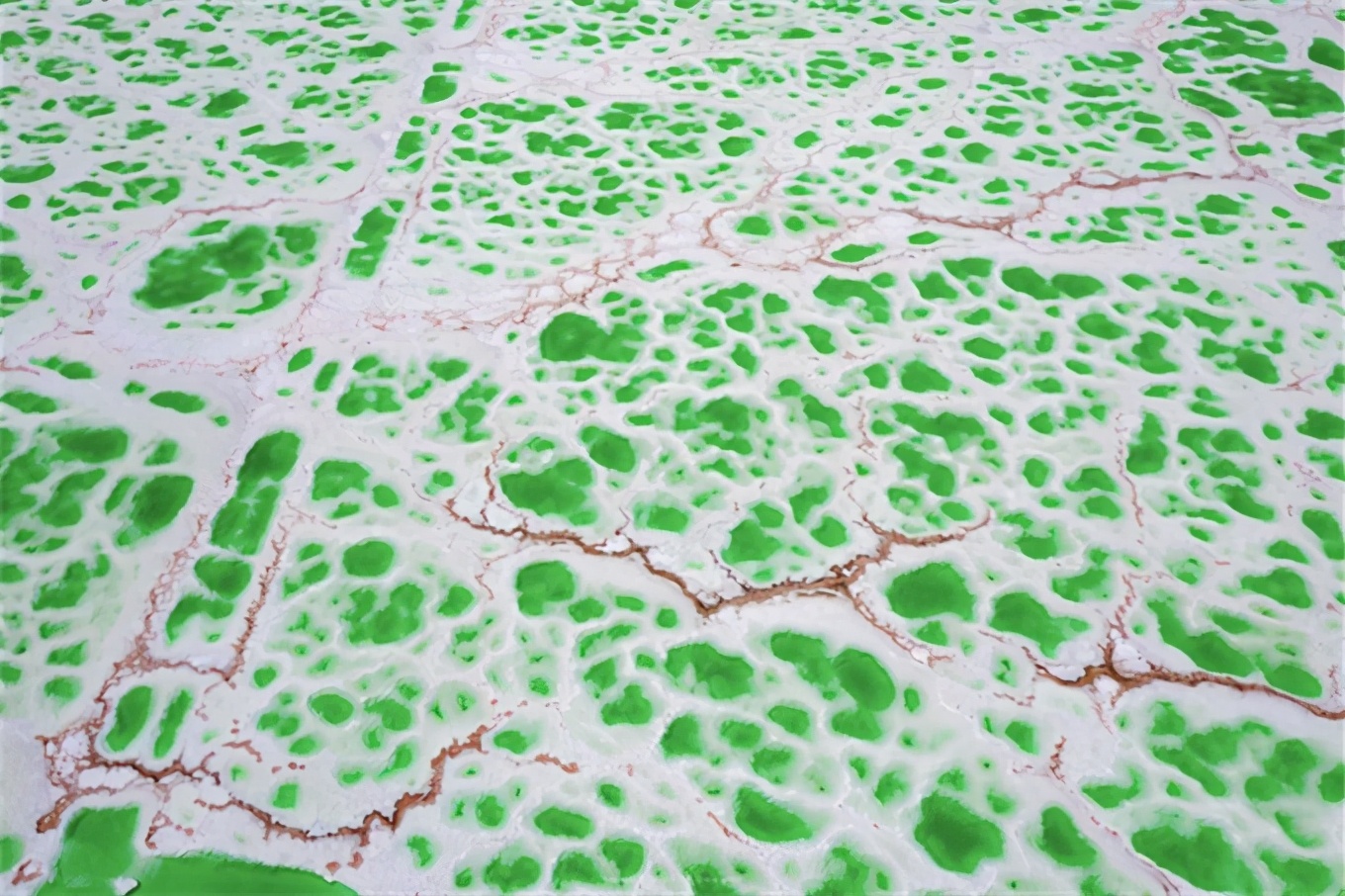 青甘大环线吃住行攻略,青甘环线自助游路线图