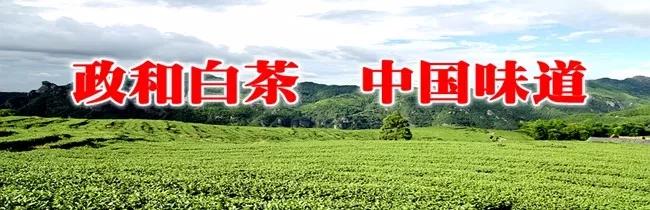 政和核酸检测最新消息,福建南平政和县医院核酸检测