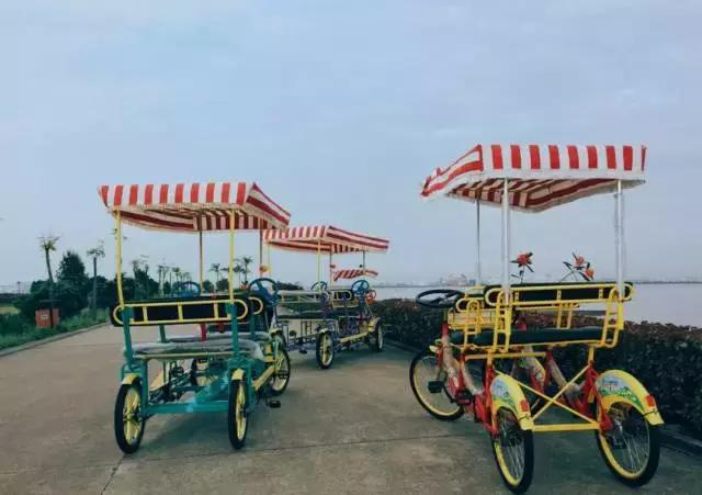 广州的这8个小岛，人少又免费，适合大小情侣的去处