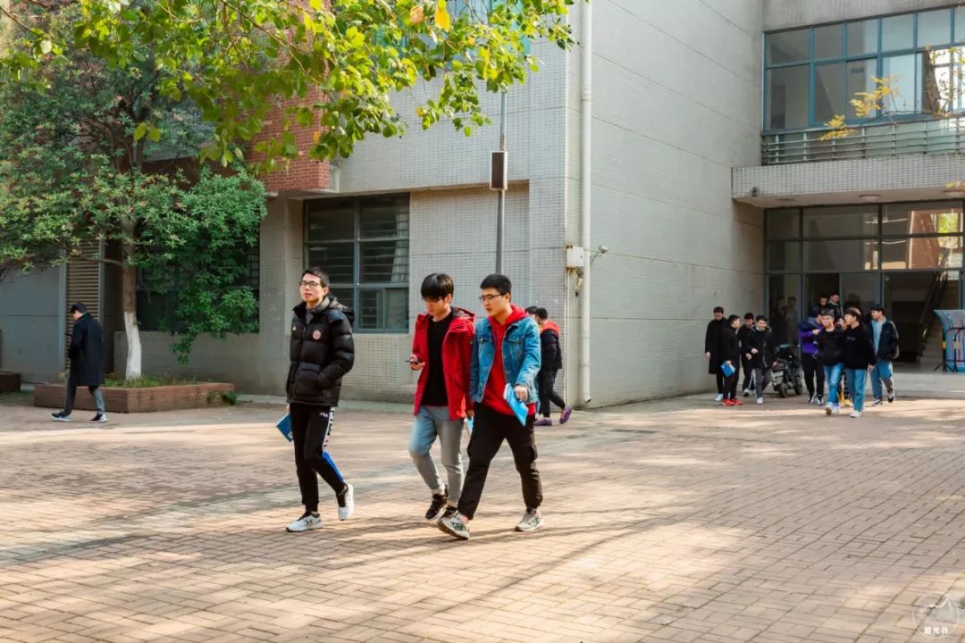 不输武大樱花，文华学院美“枫”了