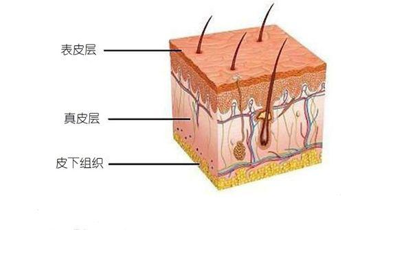 痛风脚底长水泡是什么原因,脚底疼肿是怎么回事