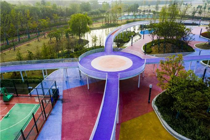 藏不住了这片樱花林免门票免预约,藏不住的傅先生