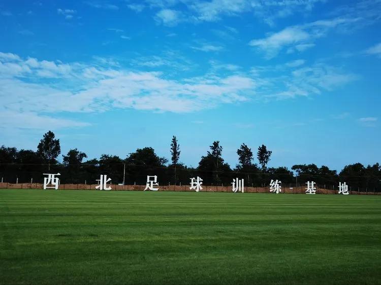 喜报渭南大荔县上榜国家级榜单,渭南多个集体获表彰