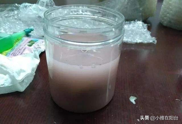 绿萝几个月没有浇水根部发黑,绿萝叶子蔫了变软发黑是什么原因