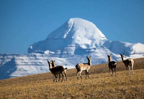 去藏北旅游注意什么,藏西旅游费用
