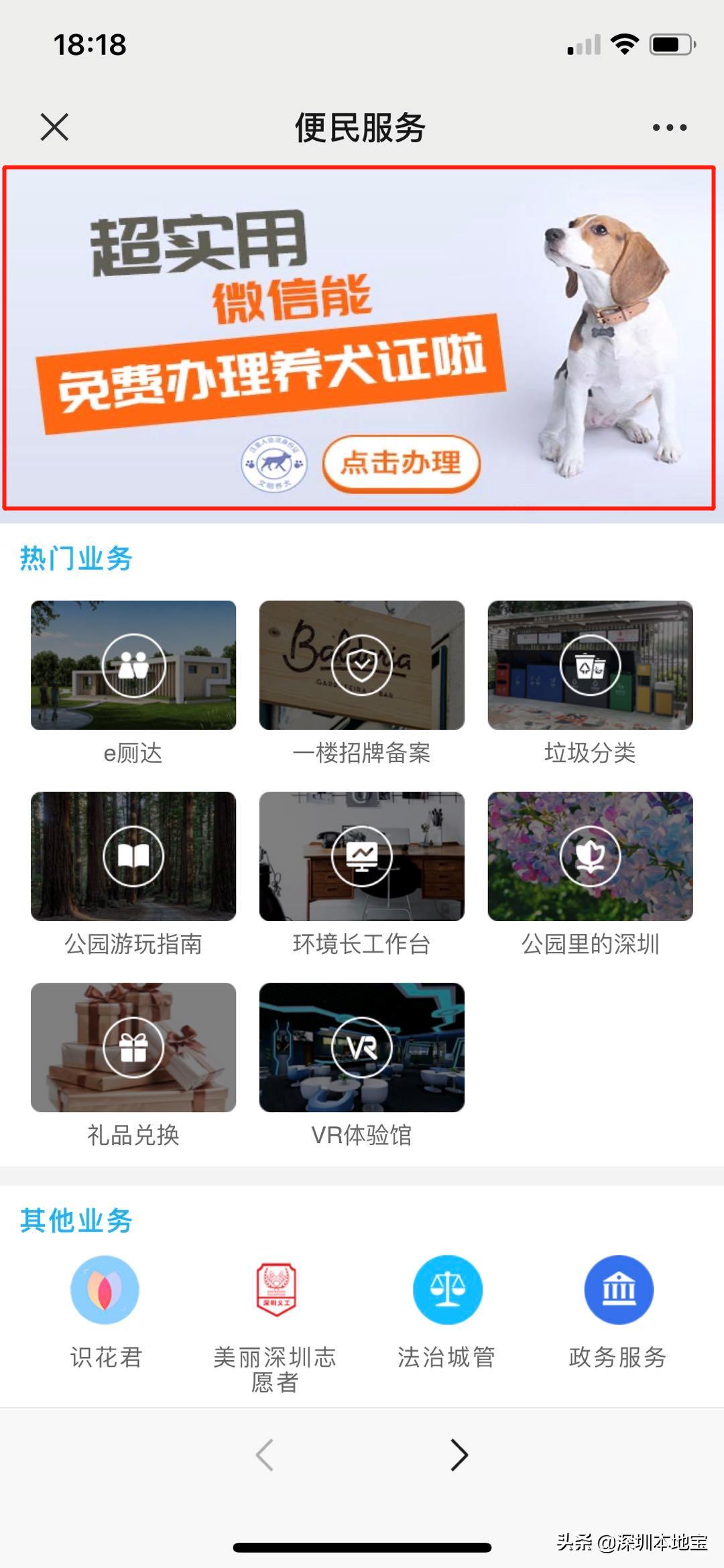 深圳禁养犬处罚标准,深圳禁养犬如何处理