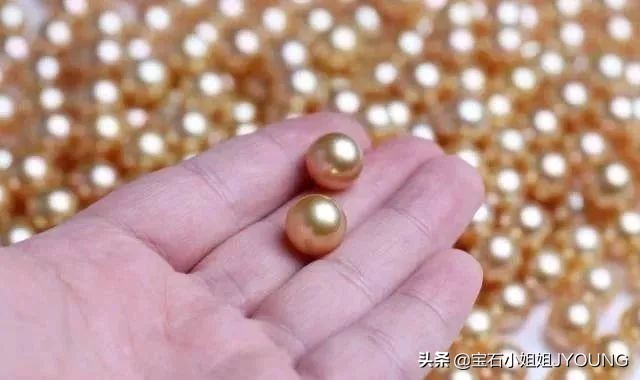 南洋珍珠金珠,妖紫珍珠和南洋金珠哪个好