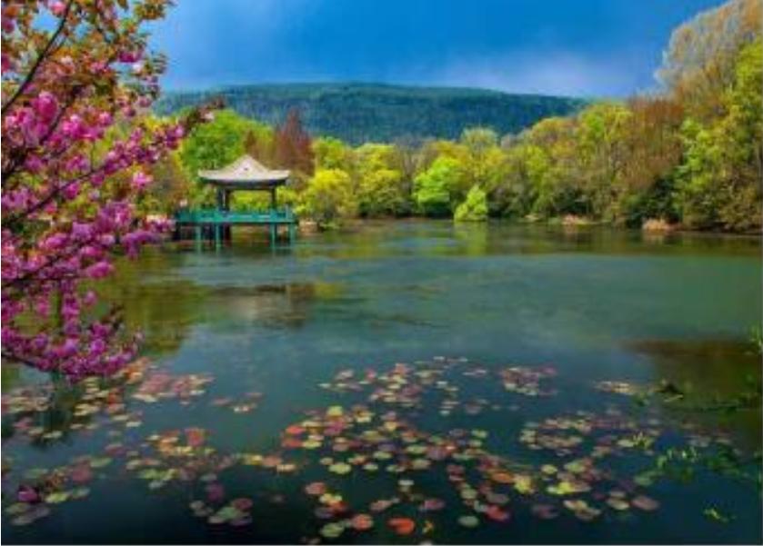 「原创诗词」黄河|梦里闲云去春曲入花耕(诗词五首)