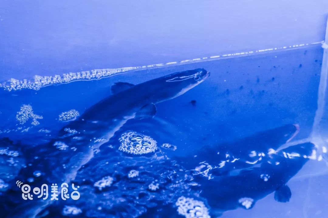 昆明高端日料店,全昆明性价比最高的日料店