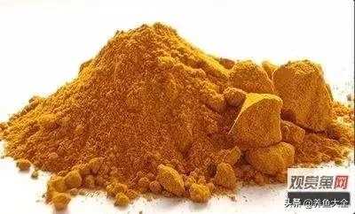 养观赏鱼放盐时为什么会死,观赏鱼外伤用黄粉行吗