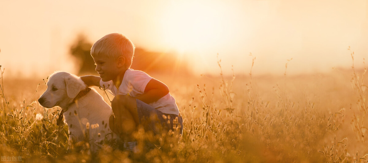 人生及时止损感悟,及时止损比坚持更难