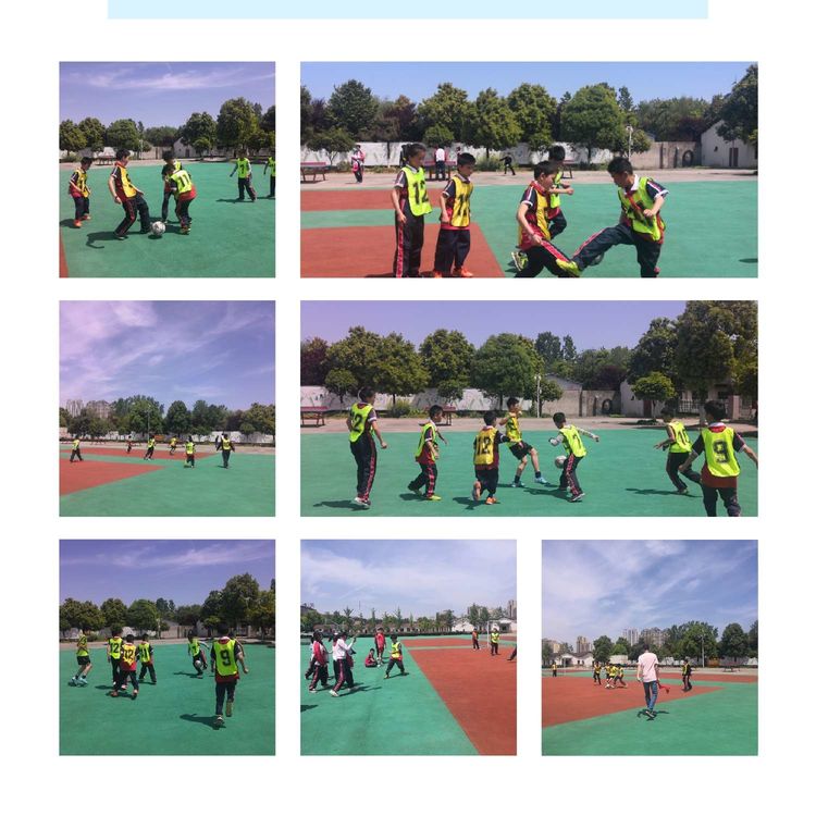 芳菲四月倾听花开——11班在成长