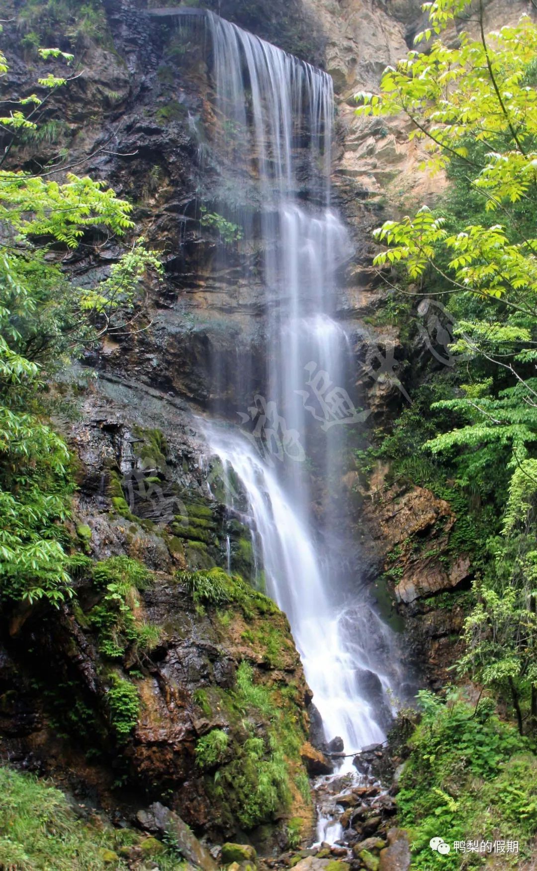 自驾车游遍中国之（一）——世界那么大，我想去神农架