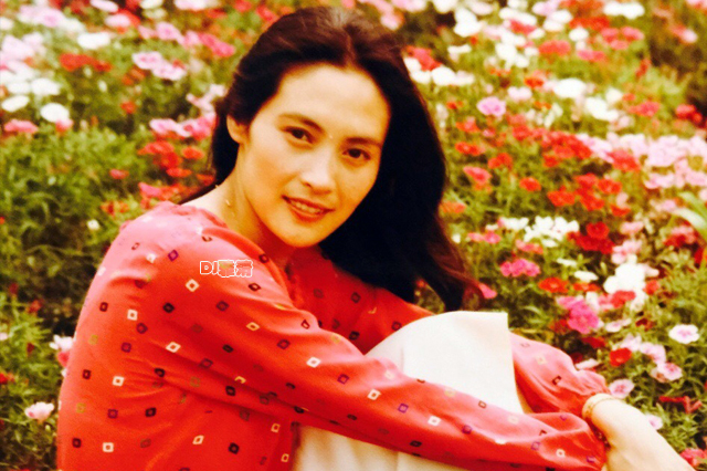 宋晓英潘虹王馥荔,潘虹王馥荔宋晓英