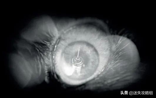 阴暗森林游戏的背景,阴暗森林游戏解析