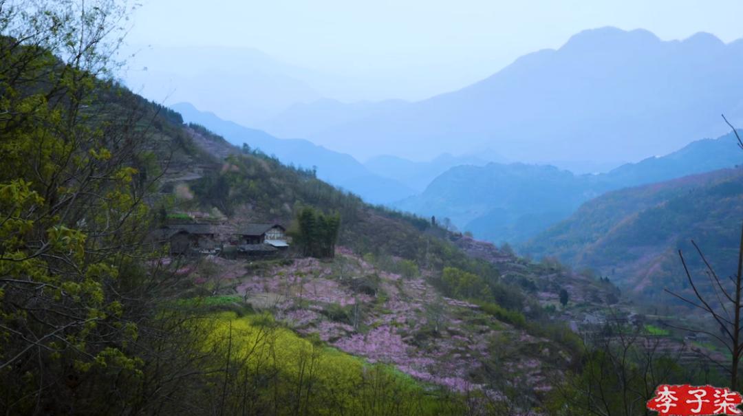 看了李子柒的视频的感受,看完李子柒后的感受