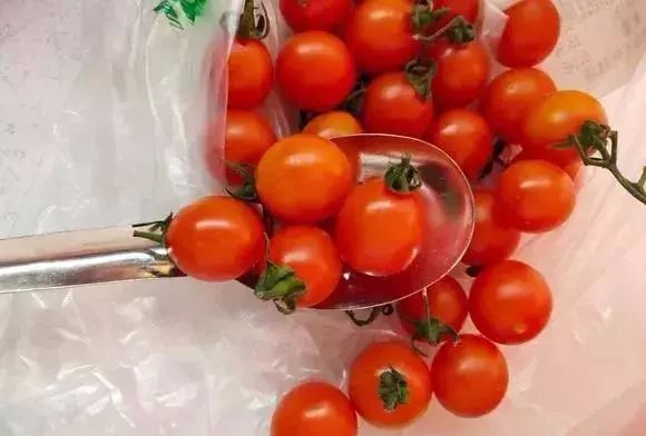 可以给花盆土里加营养液吗,盆里加点它养花10年不黄叶