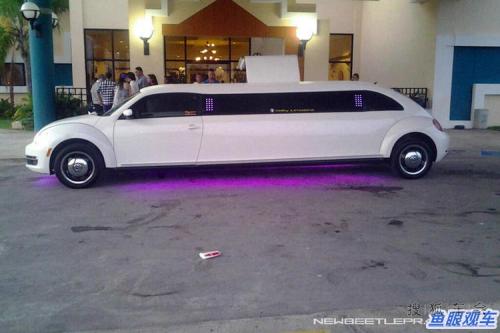 什么是甲壳虫房子,什么是甲壳虫