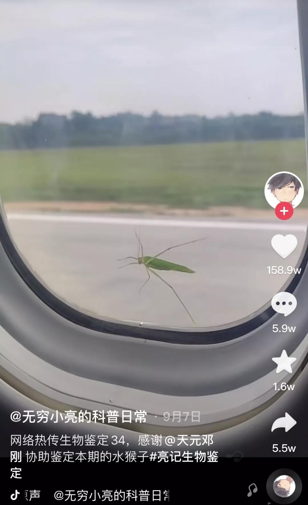 科普博主点赞,一个科普博主的顶流之路