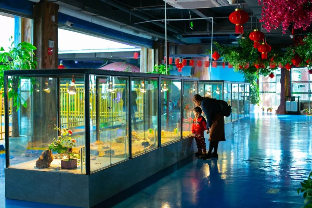 鏄嗘槑钀屽疇鍔ㄧ墿涓婚涔愬洯,鏄嗘槑瀹ゅ唴钀屽疇涔愬洯