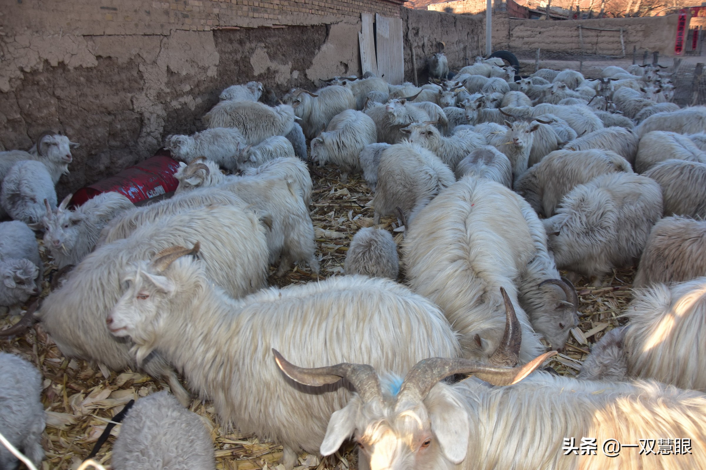 光棍遗留的老房子,光棍危房改造视频