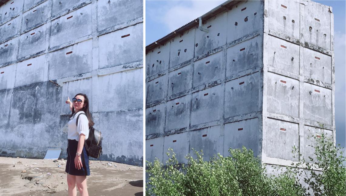 印尼产的燕窝是真的吗 (燕窝最好的产地为什么是印尼)