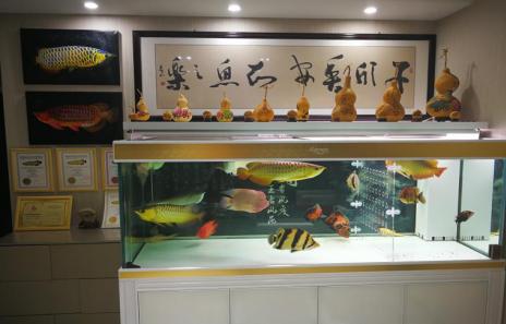 自制鱼缸外过滤系统,鱼缸隔离板自制教程