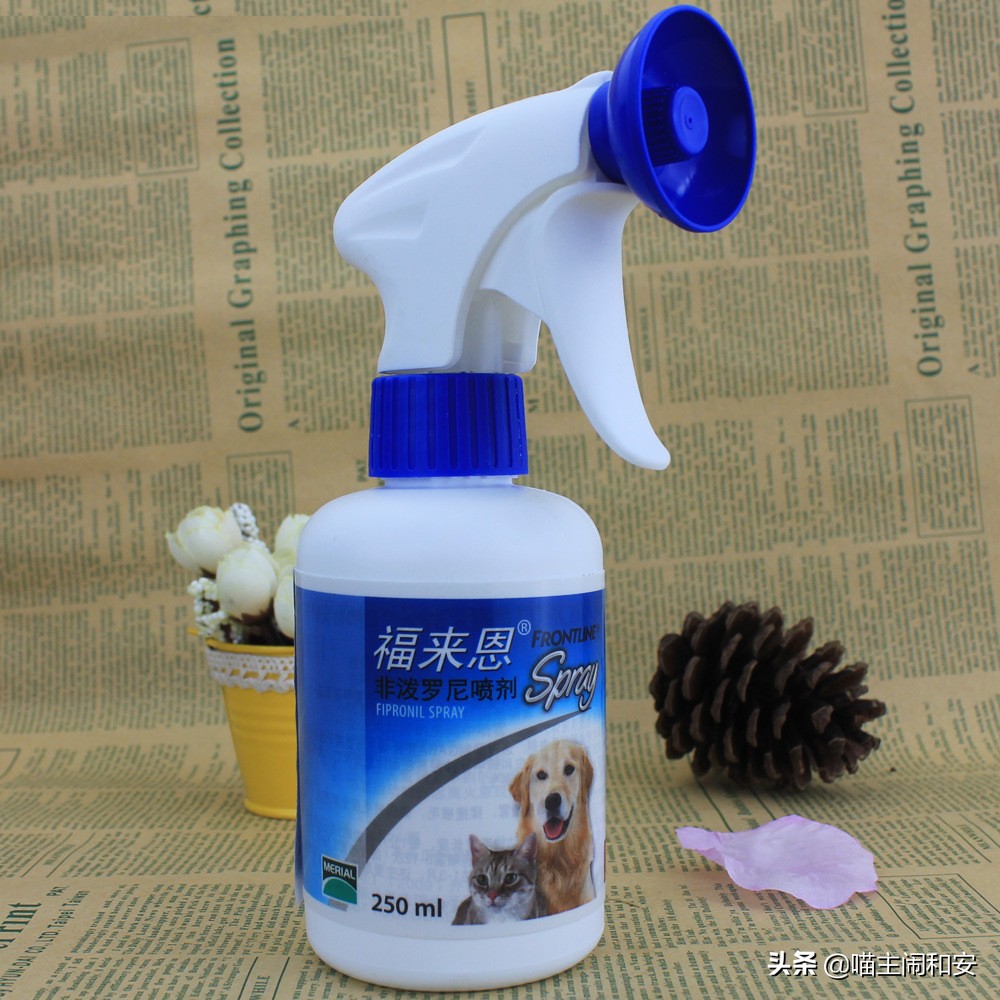 猫咪体外驱虫虫子死掉还是驱赶走,猫咪驱虫新手入门教程