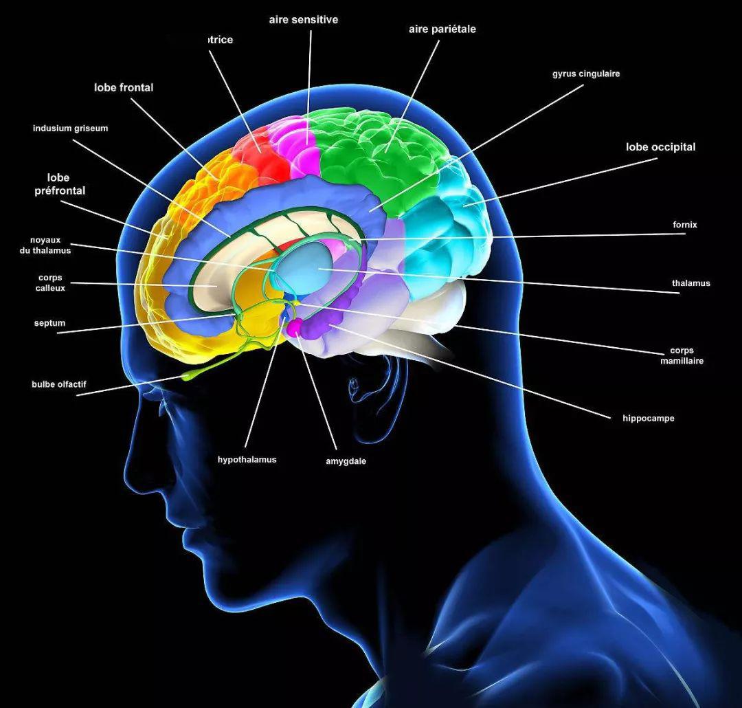 两岁宝宝执拗期处理方法,2岁半孩子脾气执拗是什么原因