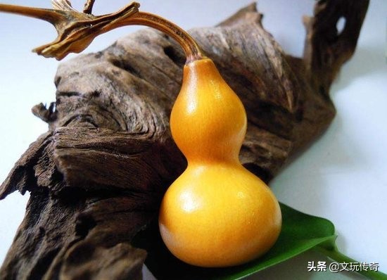 文玩葫芦的斑点如何处理,文玩葫芦晾晒多长时间才能上色